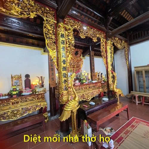 diệt mối tại công trình đang sử dụng